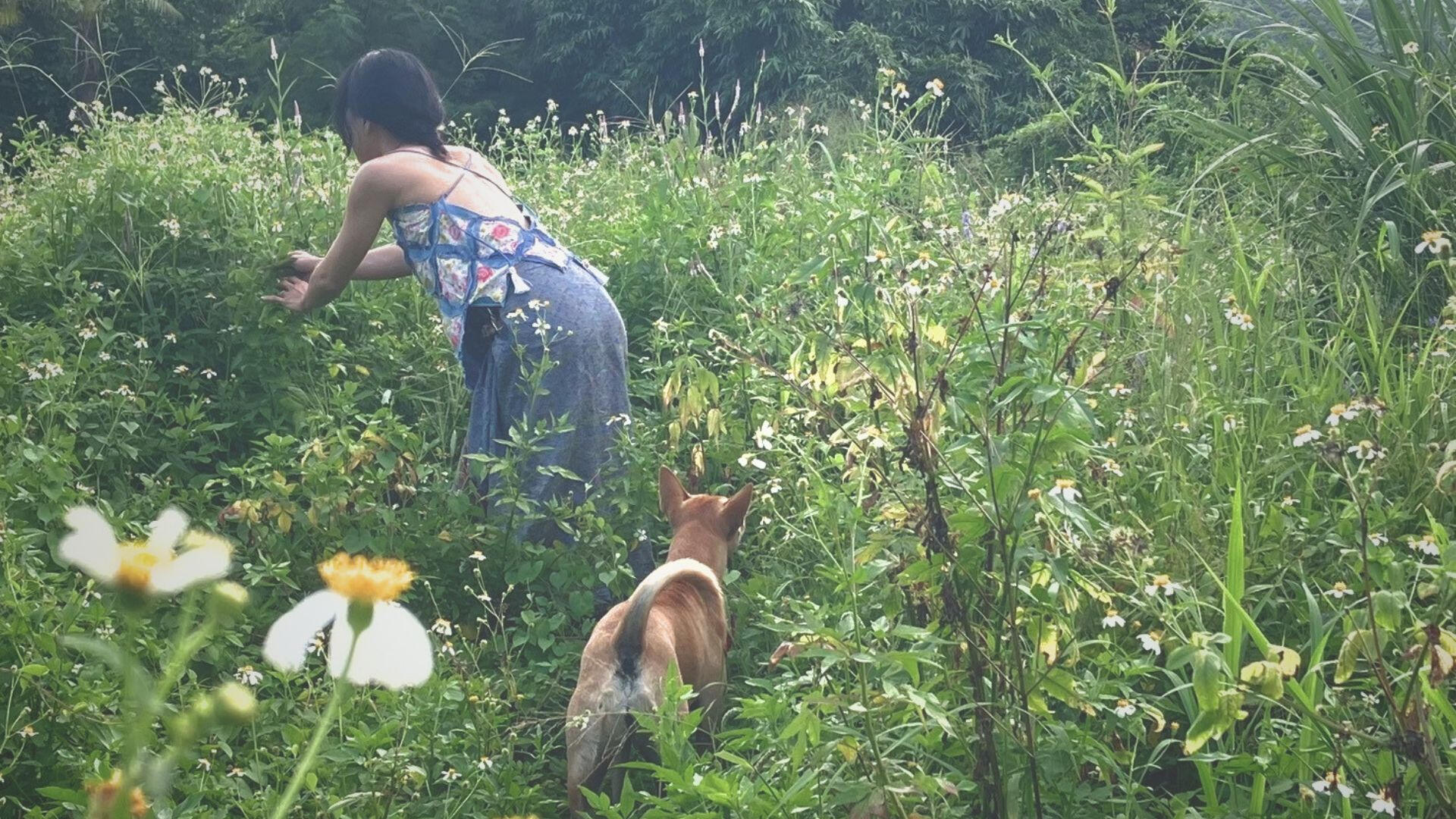 Genie in the garden with a dog Person wearing a reversible textile vest while gathering flowers in a garden with a dog nearby.