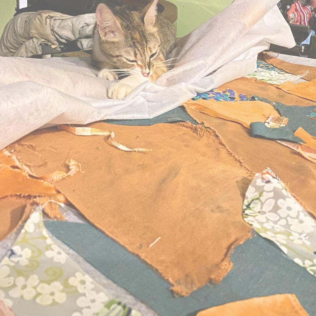 Cat Resting On The Textile Scraps Cat resting on a partially completed textile installation during the making process.